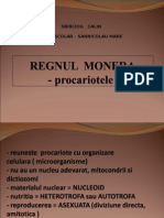 Regnul Monera Procariote