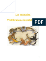 Invertebrados & Vertebrados PDF