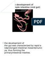 The Development Mid Gut