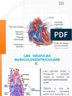 Las Válvulas Cardiacas y La Circulación