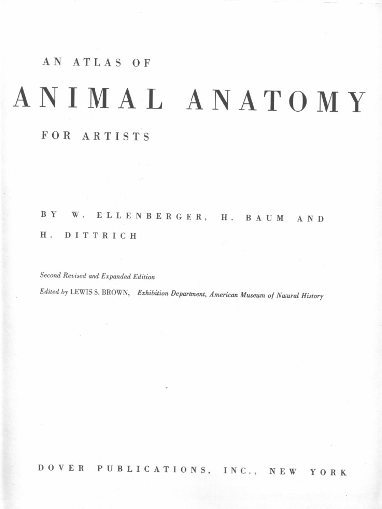 Atlas Animal Anatomy For Artists | PDF | Nature