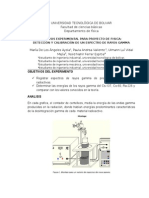 Analisis Proyecto de Fisica III Final