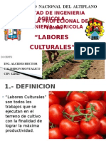 1.- Labores Culturales - Tcho