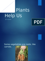 How Plants Help Us Aidan