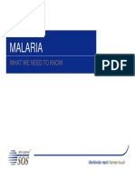 Malaria Presentation April 2014