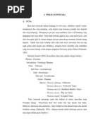 Download 2 Tinjauan Pustaka by puputriana SN25771281 doc pdf