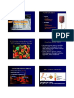 Predavanje II Deo Rancic PDF