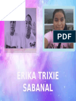 Ex4 Picture Effects Etvs