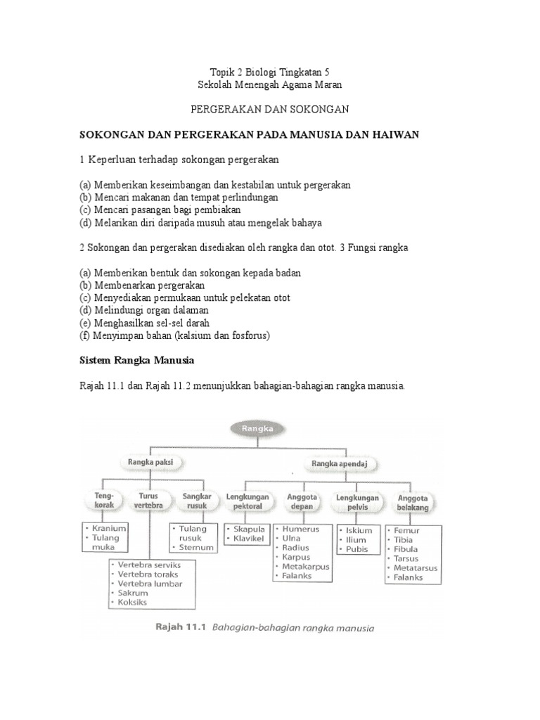 Topik 2 - Pergerakan Dan Sokongan