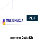  Prezentare Multimedia