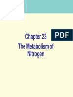 Metabolism of Nitrogen