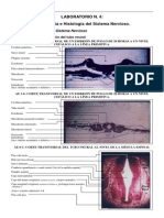 Laboratorio Nº4