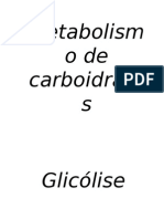 aulametabolismodecarboidratos.ppt