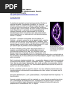 A mente oculta das plantas