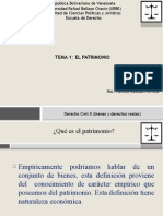 Tema 1 Patrimonio