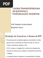 Cadeia transportadora de elétrons e fosforilação Oxidativa.pdf
