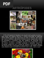 Artropodes Slide