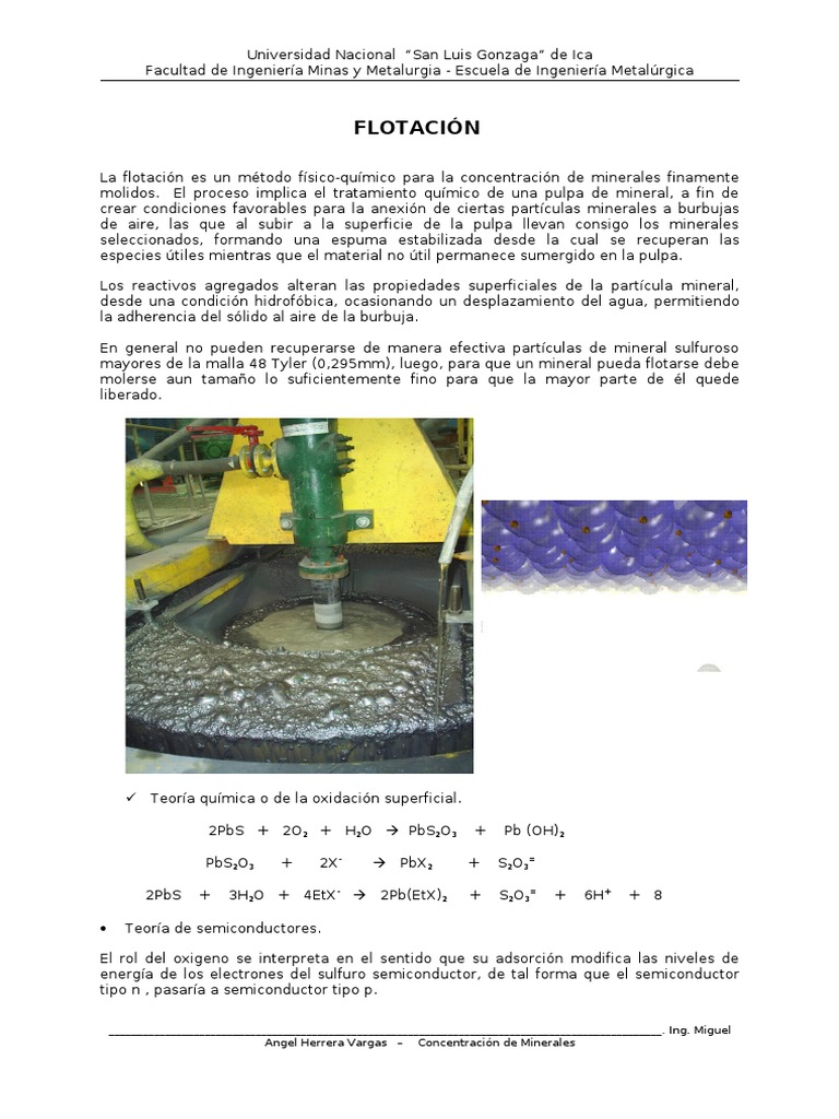64767740FLOTACIONDEMINERALES.pdf