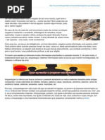 Institutogamaliel.com-Lixo Que Fala (2)