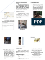 Triptico de Proyecto