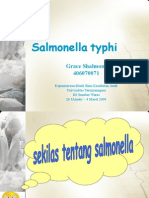 Salmonella Typhi B