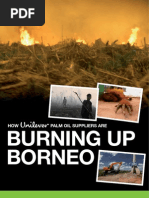 Download How Unilever palm oil suppliers are Burning up Borneo by effective SN2578497 doc pdf
