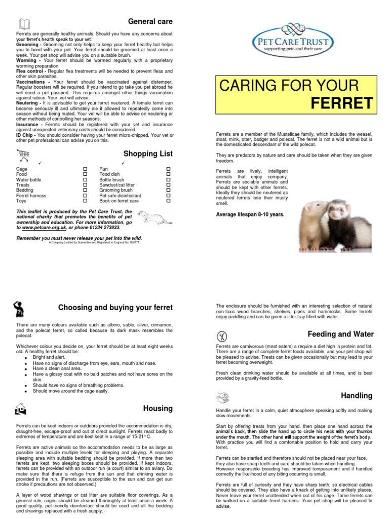 Caring For Your Ferret | PDF