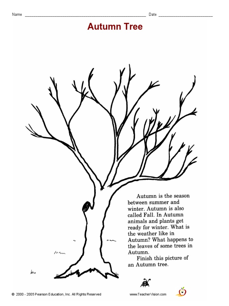 Autumn Tree: Name - Date | PDF