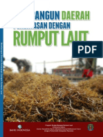 Membangun Daerah Perbatasan Dengan Rumput Laut