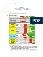 Modul Trauma Tembus