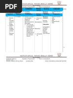 Plan Trimestral Programacion