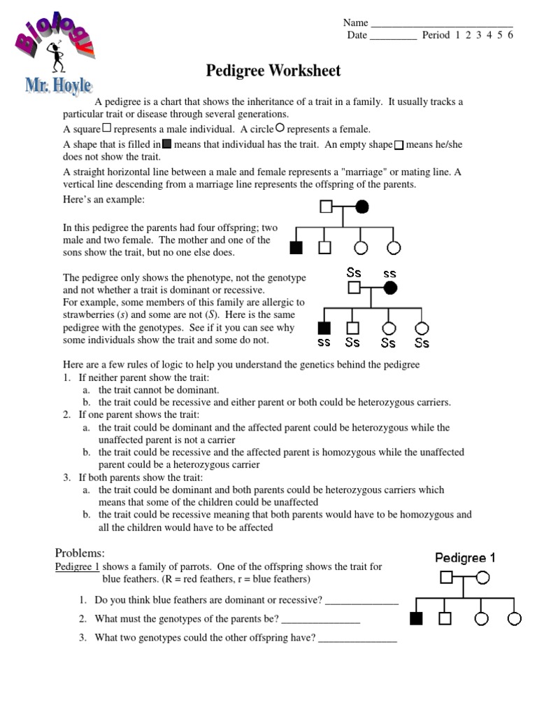Pdf Pedigree Worksheet Dominance Genetics Genotype