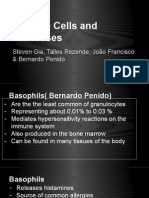 Immune Cells and Processes: Steven Gia, Talles Rezende, João Francisco & Bernardo Penido