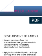Anatomy and Development of the Larynx