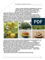 Nucul PDF