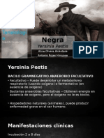 Peste Negra