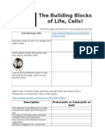 Webquest, Cells