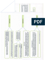 MAPAS CONCEPTUALES