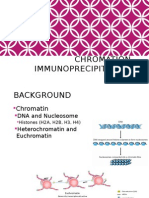 Chromation Immunoprecipitation Assay