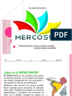 Mercosur - Tema 11