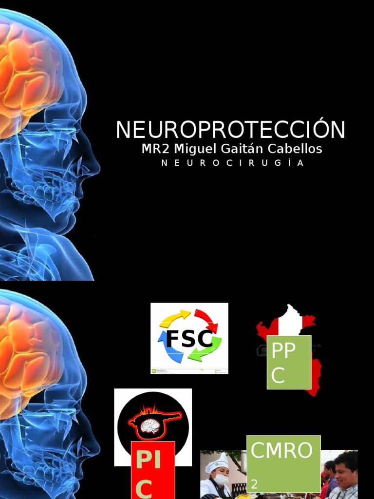 NEUROPROTECCIÓN PDF