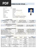 Curriculum Vitae Rokiban