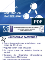Formas y Agrupacion Bacteriana