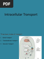 Intracellular Transport