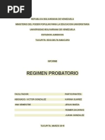 La Prueba Informe Con Exposicion 9