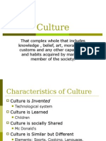 Culture Presentation