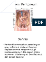 Anatomi Peritoneum