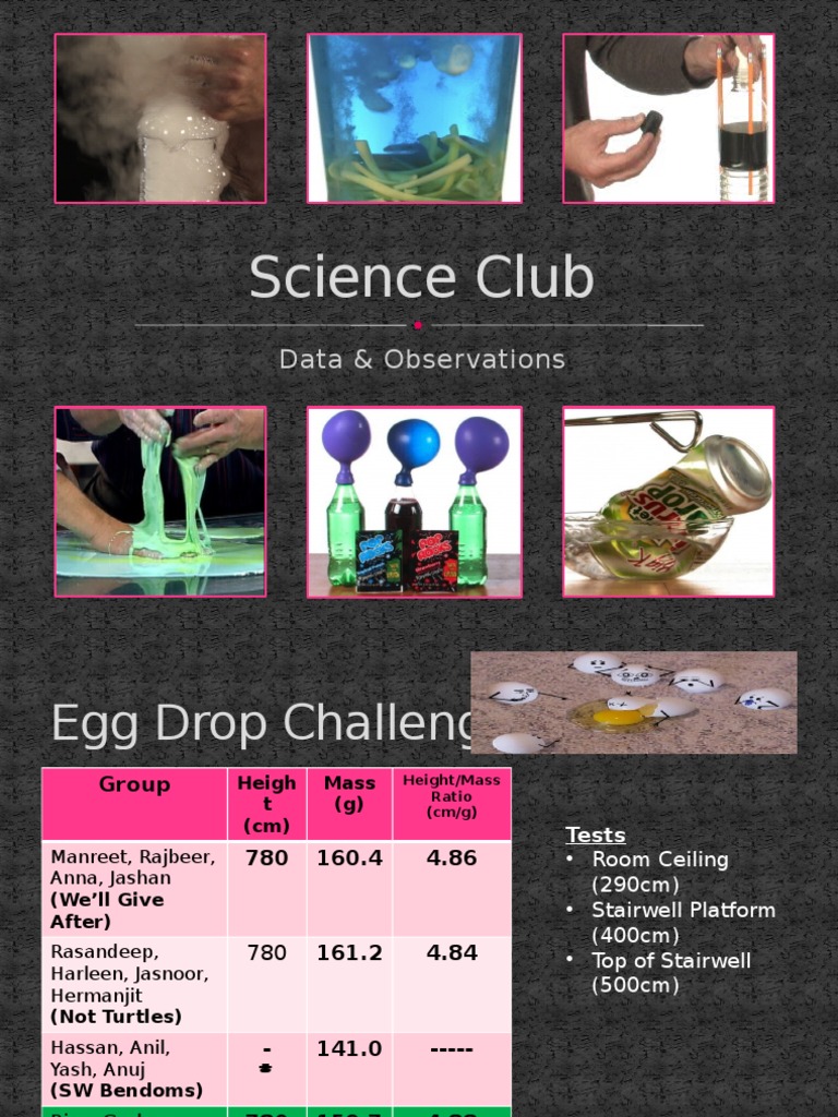 2015 Observations - Egg Drop Challenge | PDF