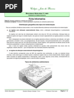 FI- Paleoambientes Sedimentares(11ºano)