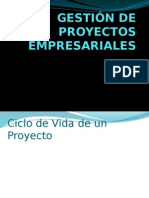 Gestión de Proyectos Empresariales